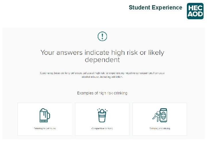 Student Experience 
