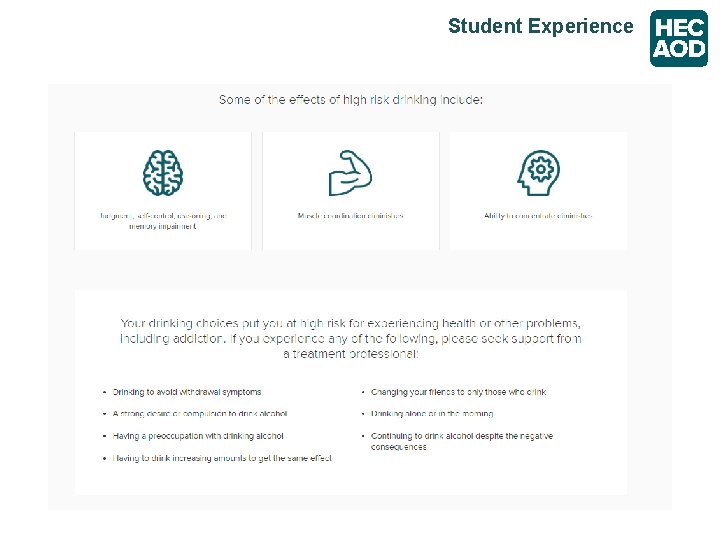 Student Experience 