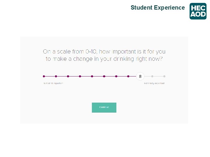 Student Experience 