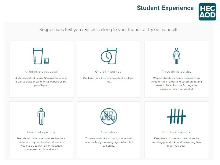 Student Experience 