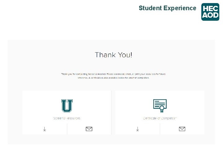 Student Experience 