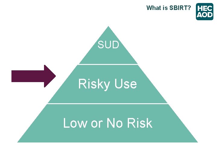 What is SBIRT? SUD Risky Use Low or No Risk 