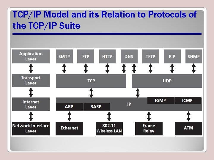 TCP/IP Model and its Relation to Protocols of the TCP/IP Suite TCP/IP Model and its Relation to Protocols of the TCP/IP Suite
