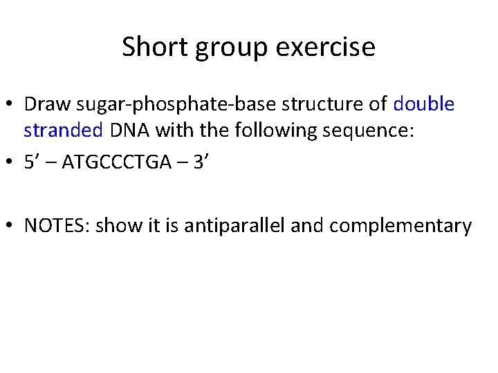 Short group exercise • Draw sugar-phosphate-base structure of double stranded DNA with the following