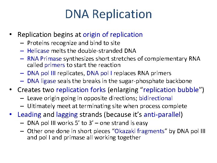 DNA Replication • Replication begins at origin of replication – Proteins recognize and bind
