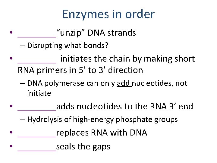 Enzymes in order • ____“unzip” DNA strands – Disrupting what bonds? • ____ initiates