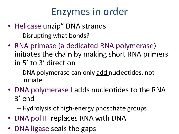 Enzymes in order • Helicase unzip” DNA strands – Disrupting what bonds? • RNA