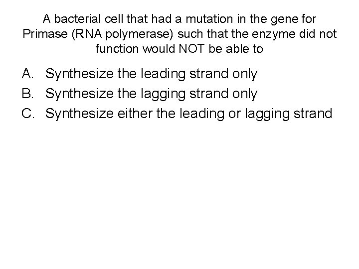 A bacterial cell that had a mutation in the gene for Primase (RNA polymerase)