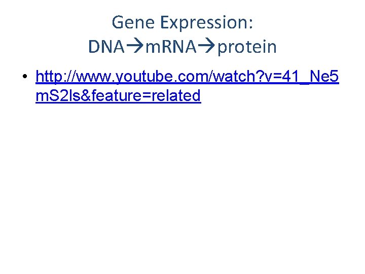 Gene Expression: DNA m. RNA protein • http: //www. youtube. com/watch? v=41_Ne 5 m.