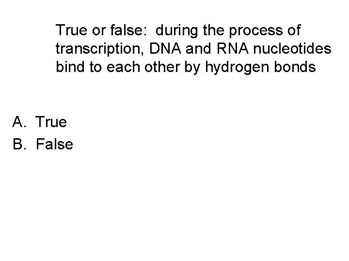 True or false: during the process of transcription, DNA and RNA nucleotides bind to