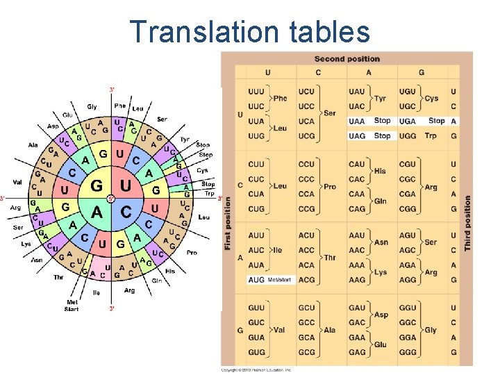 Translation tables 