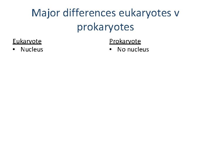 Major differences eukaryotes v prokaryotes Eukaryote • Nucleus • Replication Prokaryote • No nucleus