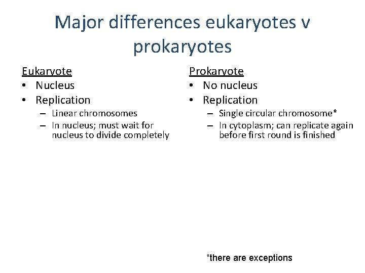 Major differences eukaryotes v prokaryotes Eukaryote • Nucleus • Replication Prokaryote • No nucleus
