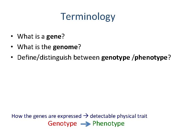 Terminology • What is a gene? • What is the genome? • Define/distinguish between