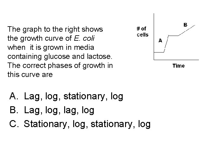 The graph to the right shows the growth curve of E. coli when it