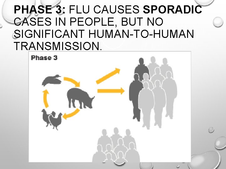 PHASE 3: FLU CAUSES SPORADIC CASES IN PEOPLE, BUT NO SIGNIFICANT HUMAN-TO-HUMAN TRANSMISSION. 