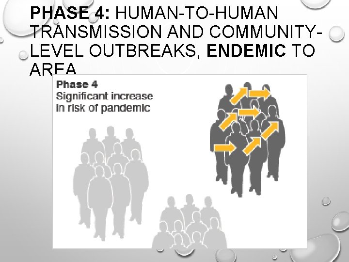PHASE 4: HUMAN-TO-HUMAN TRANSMISSION AND COMMUNITYLEVEL OUTBREAKS, ENDEMIC TO AREA 