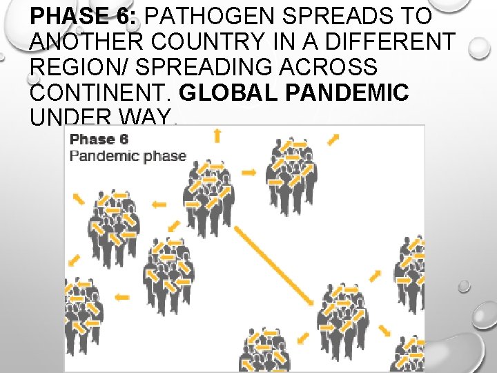 PHASE 6: PATHOGEN SPREADS TO ANOTHER COUNTRY IN A DIFFERENT REGION/ SPREADING ACROSS CONTINENT.