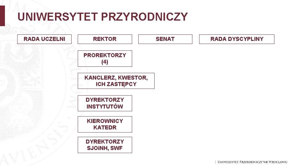 UNIWERSYTET PRZYRODNICZY RADA UCZELNI REKTOR PROREKTORZY (4) KANCLERZ, KWESTOR, ICH ZASTĘPCY DYREKTORZY INSTYTUTÓW KIEROWNICY