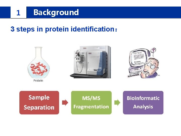 1 Background 3 steps in protein identification： 