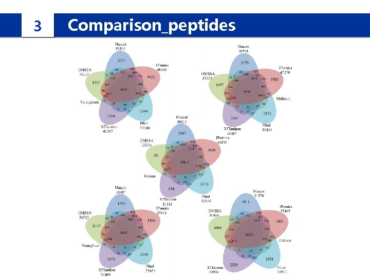 3 Comparison_peptides 