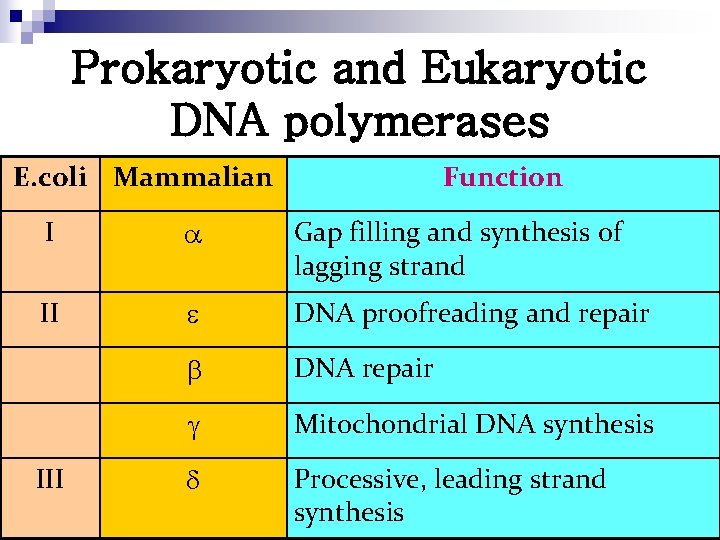 Prokaryotic and Eukaryotic DNA polymerases E. coli Mammalian Function I Gap filling and synthesis