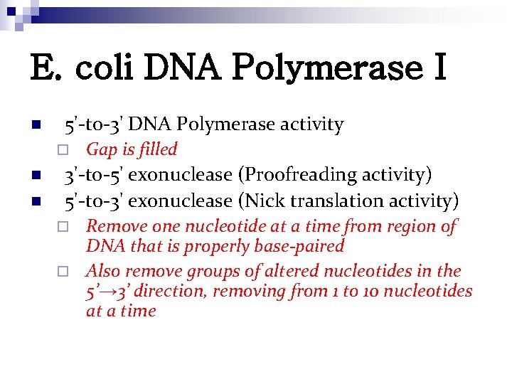 E. coli DNA Polymerase I n 5'-to-3' DNA Polymerase activity ¨ n n Gap