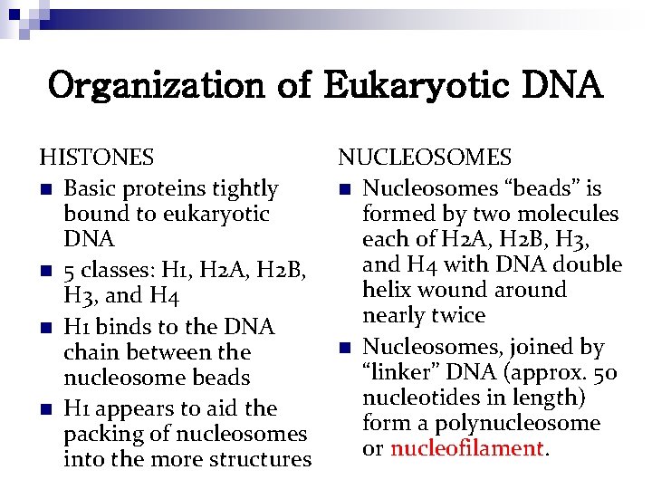 Organization of Eukaryotic DNA HISTONES n Basic proteins tightly bound to eukaryotic DNA n