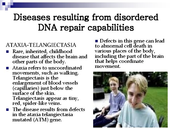 Diseases resulting from disordered DNA repair capabilities ATAXIA-TELANGIECTASIA n n n Rare, inherited, childhood