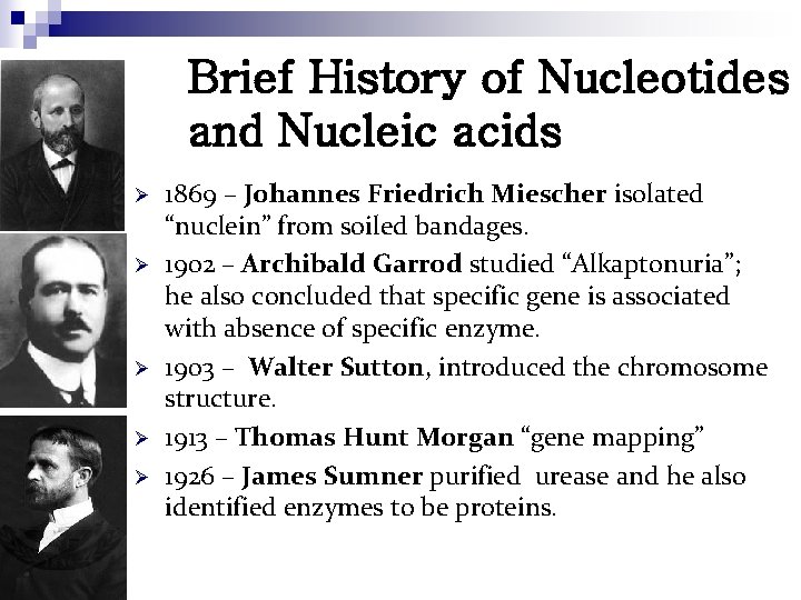 Brief History of Nucleotides and Nucleic acids Ø Ø Ø 1869 – Johannes Friedrich