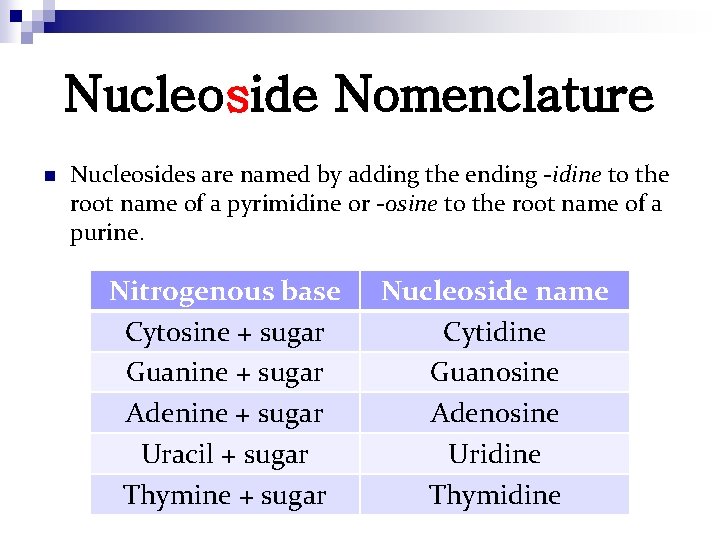 Nucleoside Nomenclature n Nucleosides are named by adding the ending -idine to the root