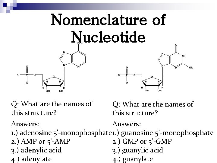 Nomenclature of Nucleotide Q: What are the names of this structure? Answers: 1. )