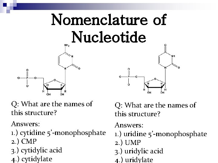 Nomenclature of Nucleotide Q: What are the names of this structure? Answers: 1. )