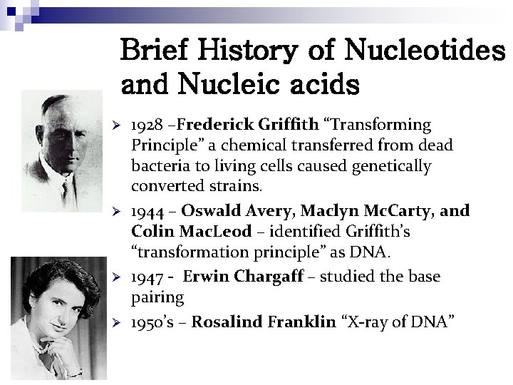 Brief History of Nucleotides and Nucleic acids Ø Ø 1928 –Frederick Griffith “Transforming Principle”