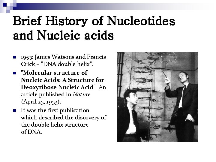 Brief History of Nucleotides and Nucleic acids n n n 1953: James Watsons and