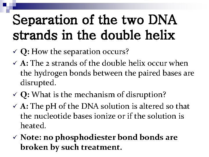 Separation of the two DNA strands in the double helix ü ü ü Q: