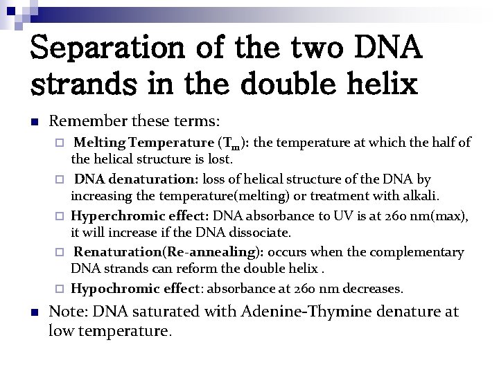 Separation of the two DNA strands in the double helix n Remember these terms: