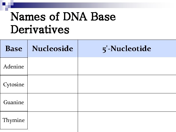 Names of DNA Base Derivatives Base Nucleoside 5'-Nucleotide Adenine 2'-Deoxyadenosine-5'-monophosphate Cytosine 2'-Deoxycytidine-5'-monophosphate Guanine 2'-Deoxyguanosine-5'-monophosphate