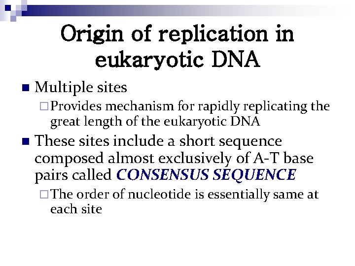 Origin of replication in eukaryotic DNA n Multiple sites ¨ Provides mechanism for rapidly