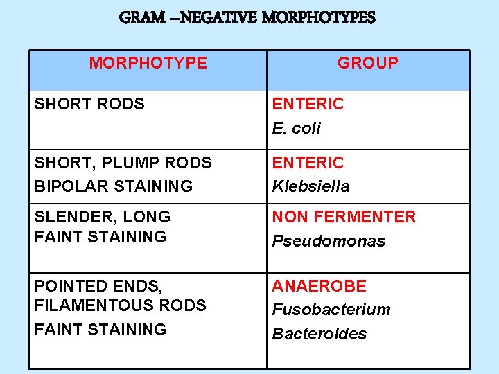 GRAM –NEGATIVE MORPHOTYPES MORPHOTYPE GROUP SHORT RODS ENTERIC E. coli SHORT, PLUMP RODS BIPOLAR