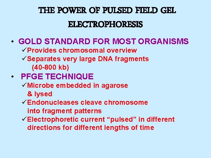 THE POWER OF PULSED FIELD GEL ELECTROPHORESIS • GOLD STANDARD FOR MOST ORGANISMS üProvides