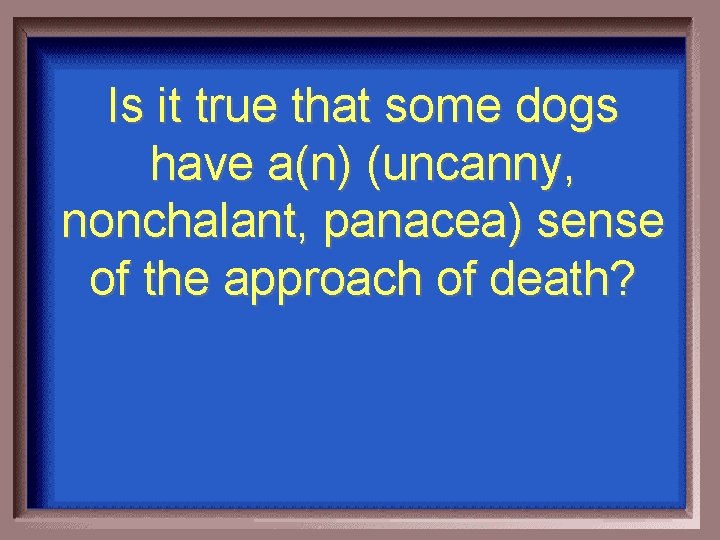 Is it true that some dogs have a(n) (uncanny, nonchalant, panacea) sense of the
