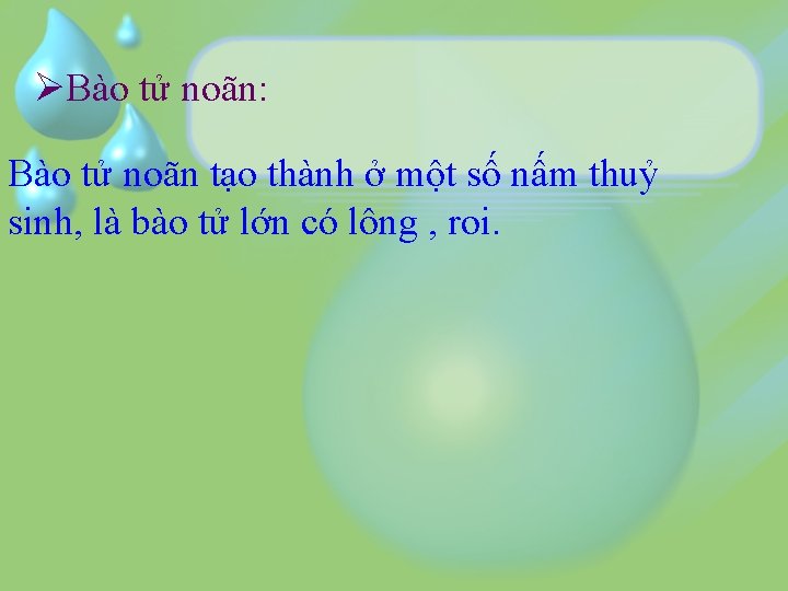 ØBào tử noãn: Bào tử noãn tạo thành ở một số nấm thuỷ sinh,