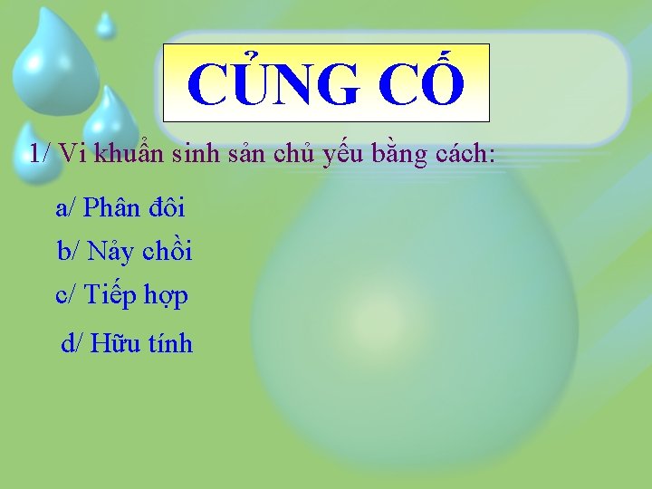 CỦNG CỐ 1/ Vi khuẩn sinh sản chủ yếu bằng cách: a/ Phân đôi