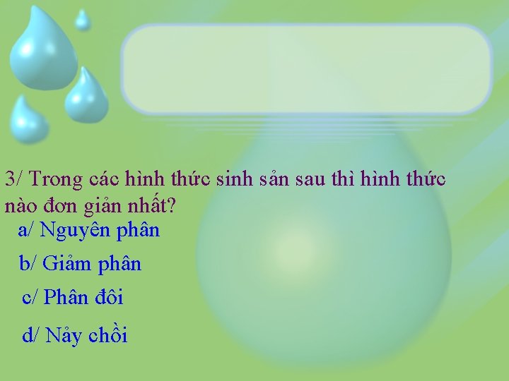 3/ Trong các hình thức sinh sản sau thì hình thức nào đơn giản