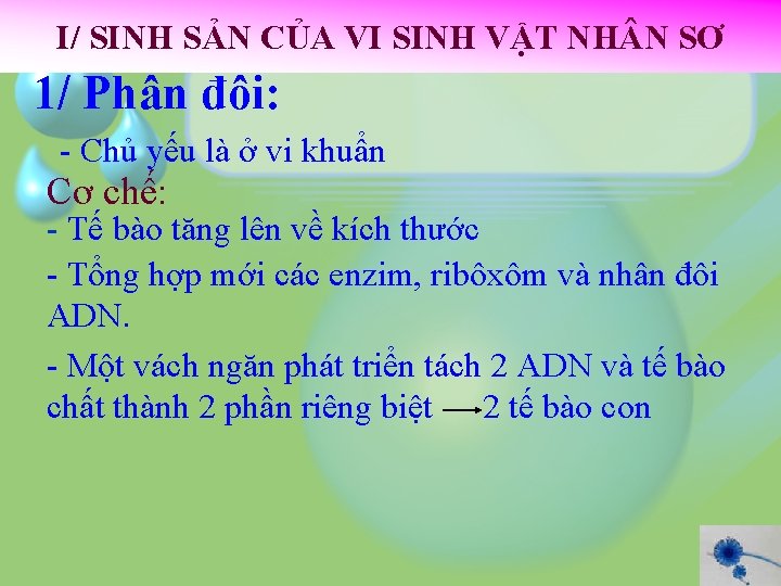I/ SINH SẢN CỦA VI SINH VẬT NH N SƠ 1/ Phân đôi: -