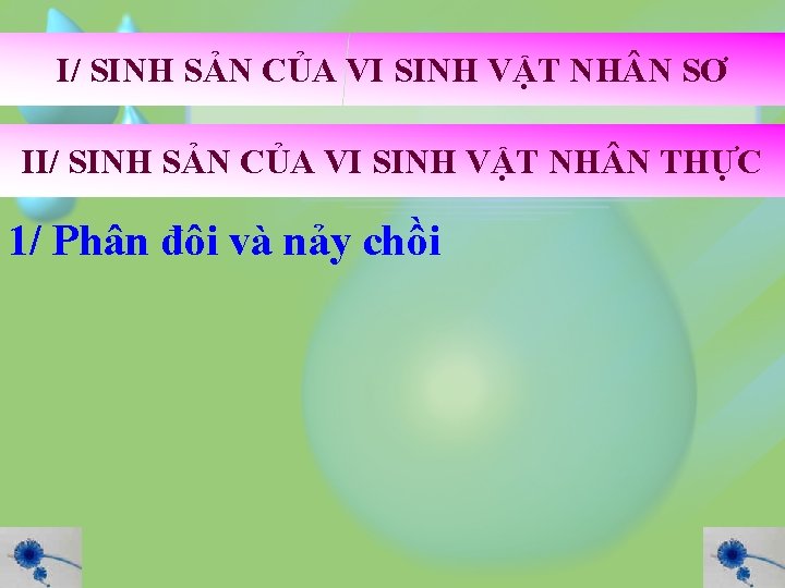 I/ SINH SẢN CỦA VI SINH VẬT NH N SƠ II/ SINH SẢN CỦA