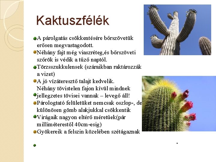 Kaktuszfélék A párolgatás csökkentésére bőrszövetük erősen megvastagodott. Néhány fajt még viaszréteg, és bőrszöveti szőrök
