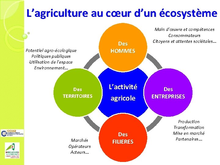 L’agriculture au cœur d’un écosystème Potentiel agro-écologique Politiques publiques Utilisation de l’espace Environnement… Des
