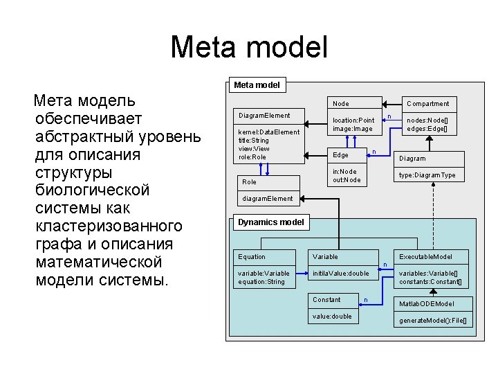 Meta model Мета модель обеспечивает абстрактный уровень для описания структуры биологической системы как кластеризованного Meta model Мета модель обеспечивает абстрактный уровень для описания структуры биологической системы как кластеризованного
